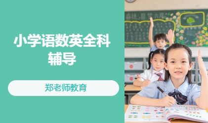小学语数英全科辅导