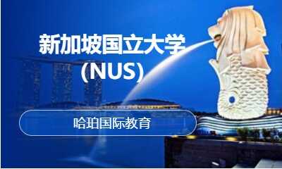 新加坡国立大学（NUS）