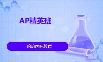 AP精英班