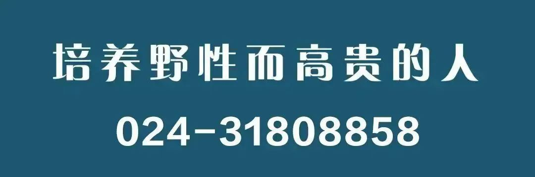 首图.png
