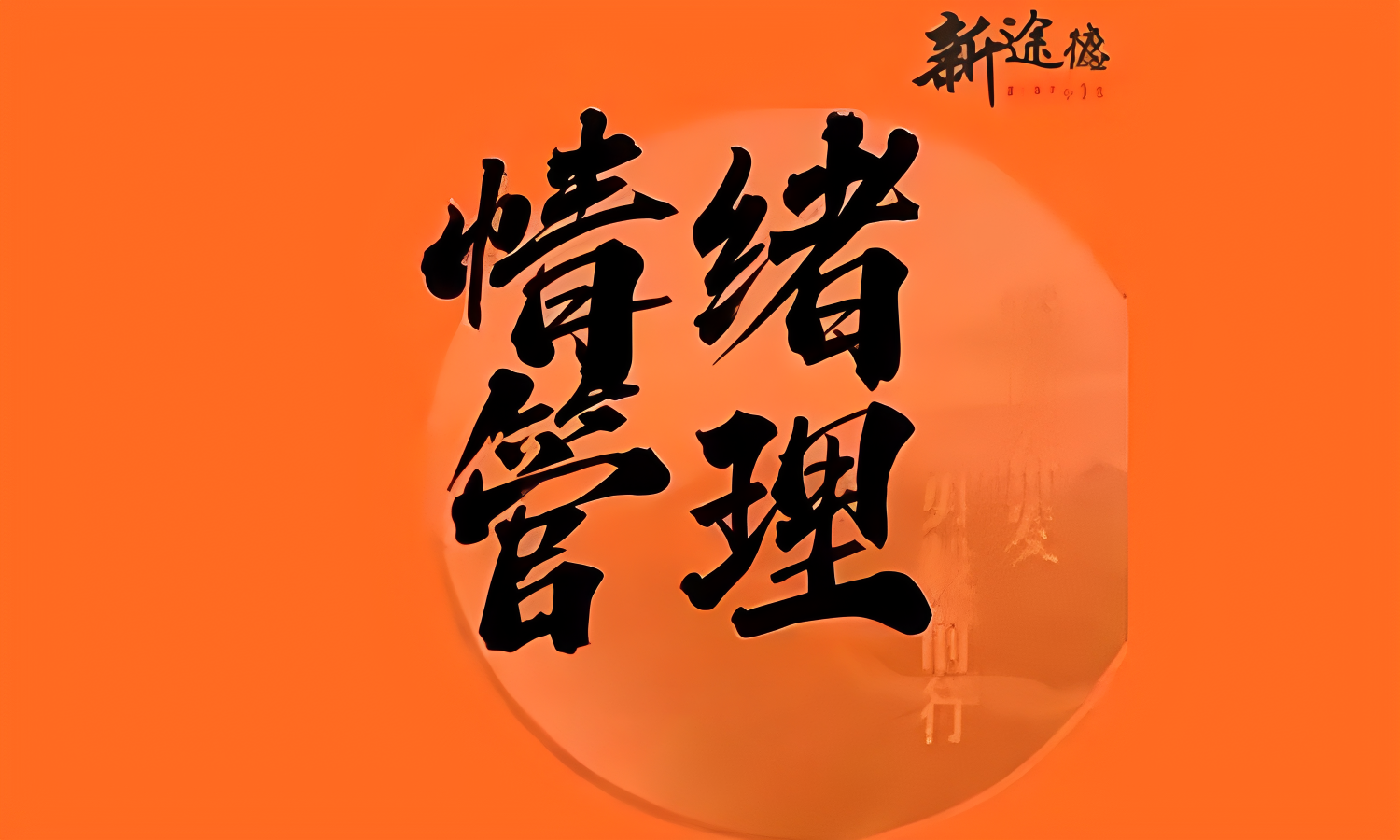 自定义高清放大 (4).png