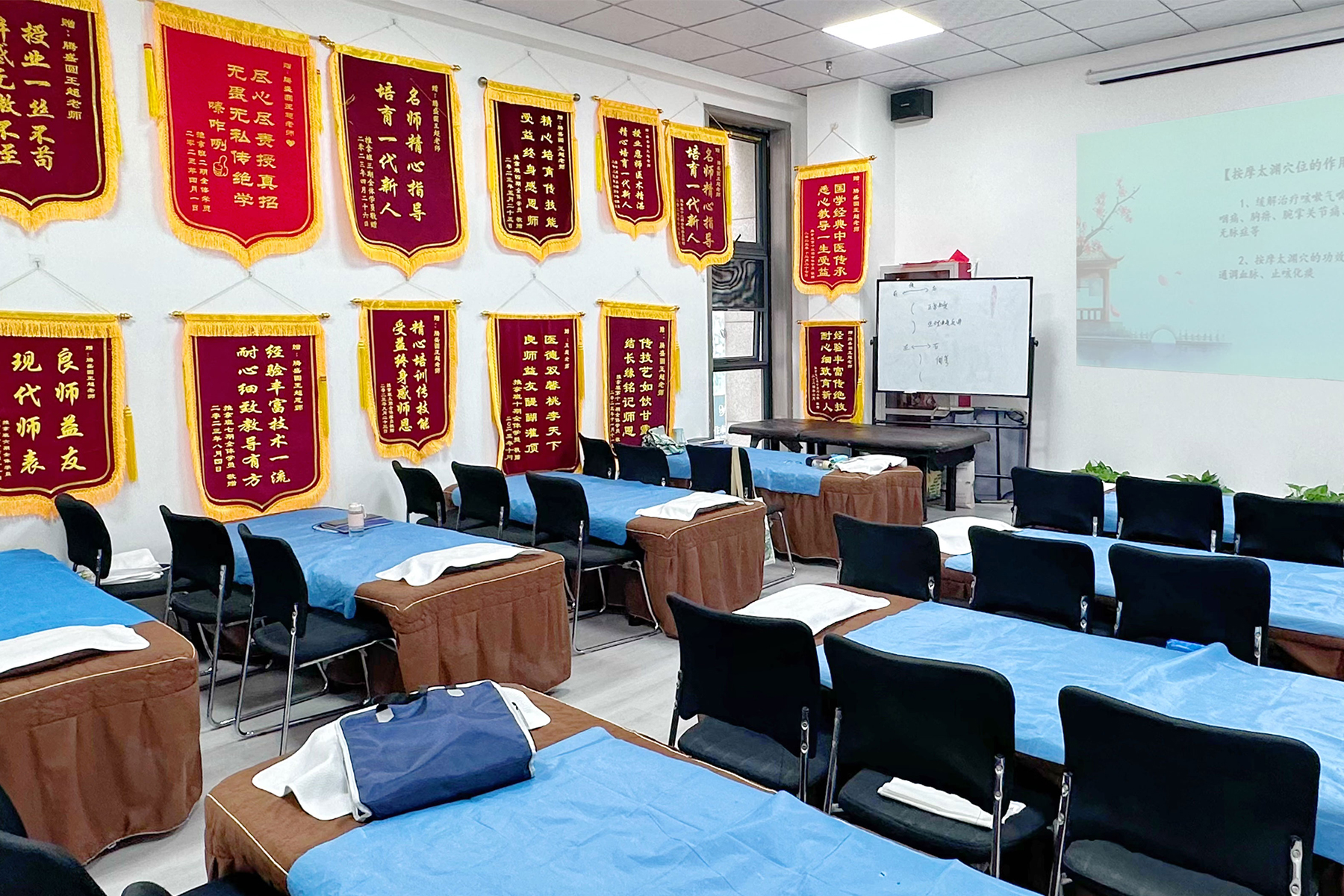 中医针灸推拿学习