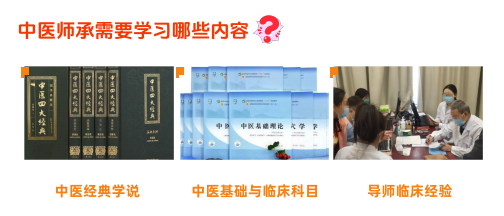 中医师承零基础学中医