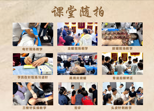 零基础学中医针灸推拿